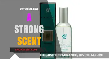 Exploring Verbena's Aromatic Appeal: Does It Have a Strong Scent?