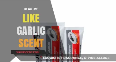 Garlic Scent: A Walleye Attractant or Myth? Expert Insights