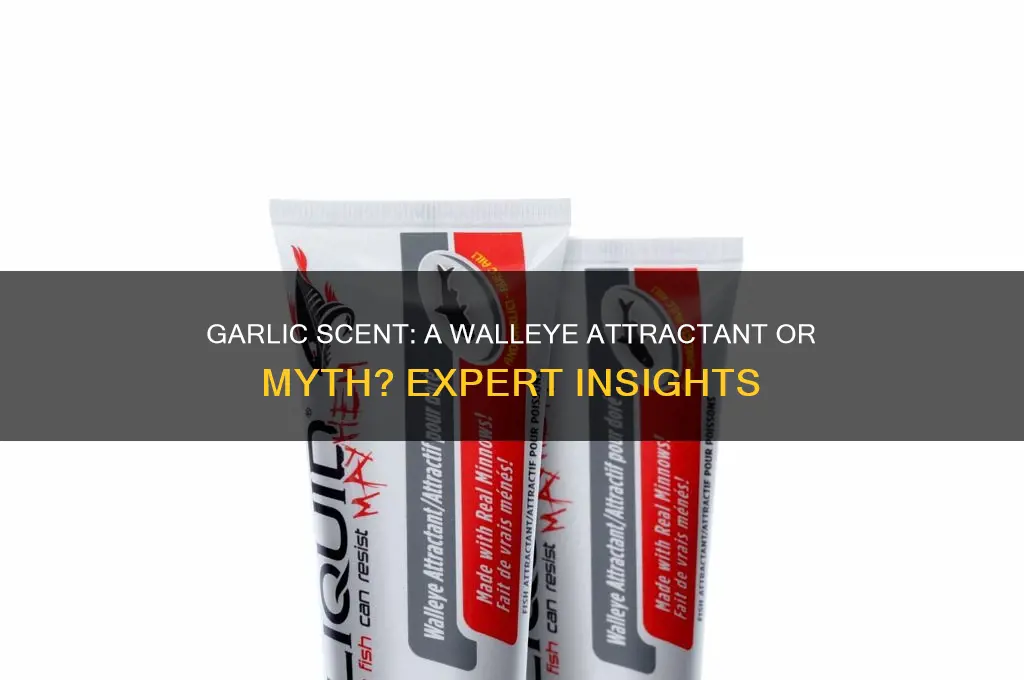 do walleye like garlic scent