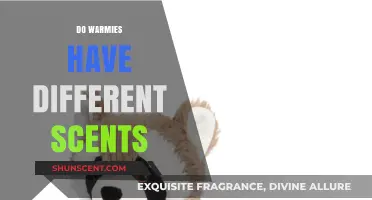 Exploring Warmies: Do Their Scents Differ by Type or Filling?