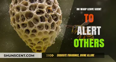 Do Wasps Use Scent Markers to Communicate Danger to Their Colony?