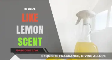 Do Wasps Like Lemon Scent? Unveiling the Truth Behind the Myth