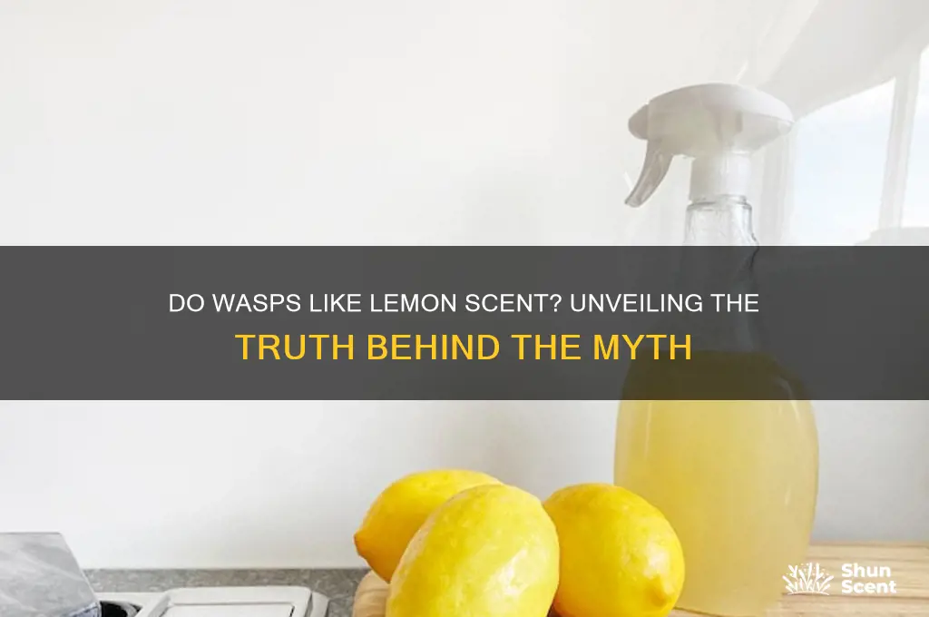 do wasps like lemon scent