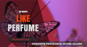 Perfumes: Wasp Attractors or Repellents?