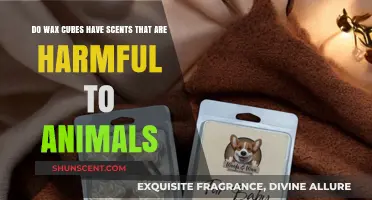 Are Wax Cubes' Scents Safe for Pets and Wildlife?