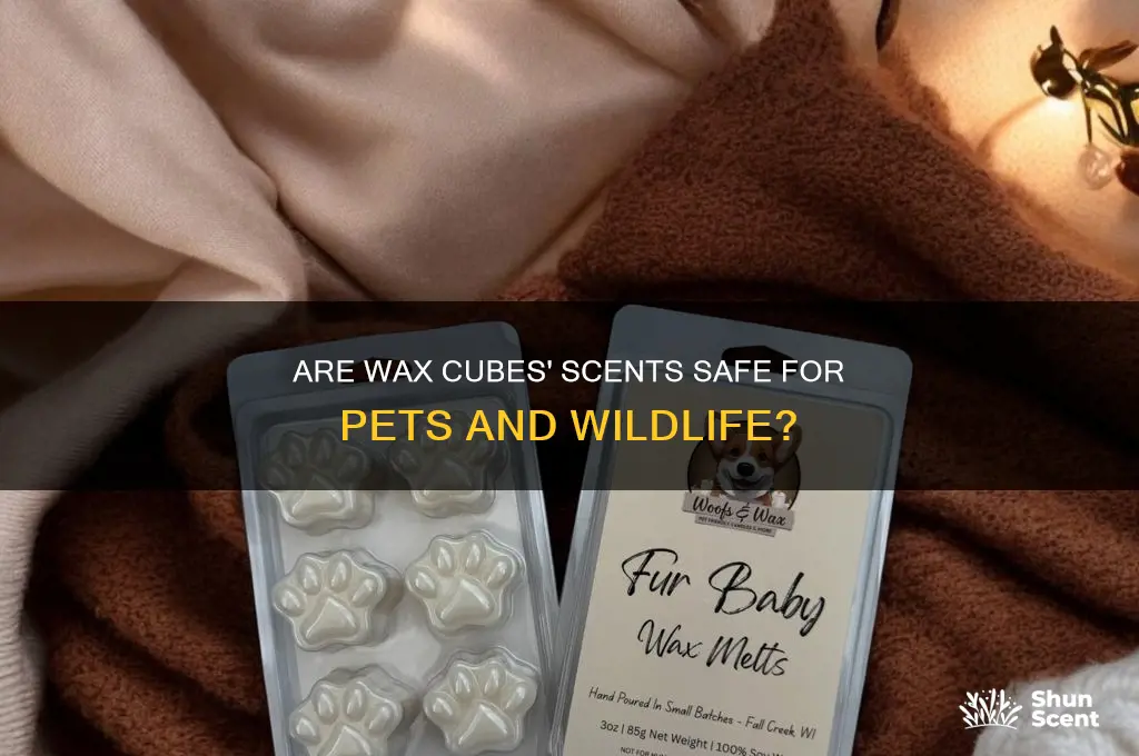 do wax cubes have scents that are harmful to animals