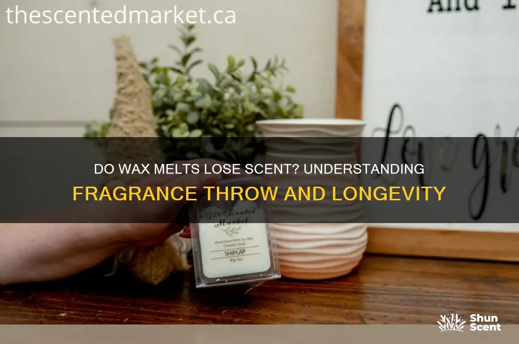 do wax melts lose scent
