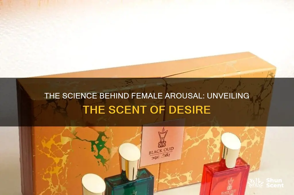 do women give off a scent when they are aroused
