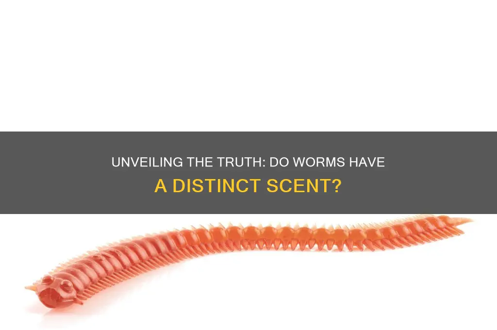 do worms have a scent