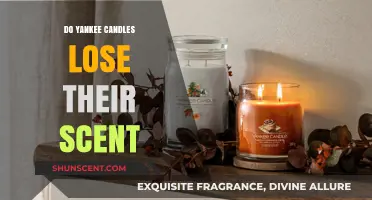 Do Yankee Candles Fade? Exploring Scent Longevity and Performance