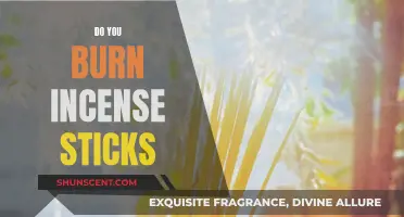 Incense Sticks: Burning Questions and Ancient Answers