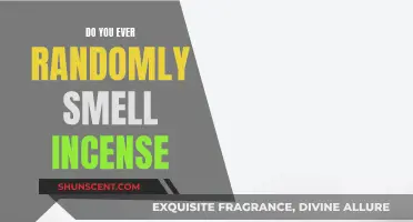 Incense and Sensibility: Random Whiffs of Spiritual Scents