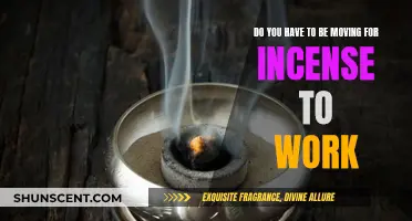 Incense and Movement: The Dynamic Duo?