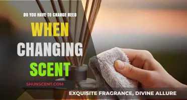 Changing Scents: Must You Switch Reeds for Different Fragrances?
