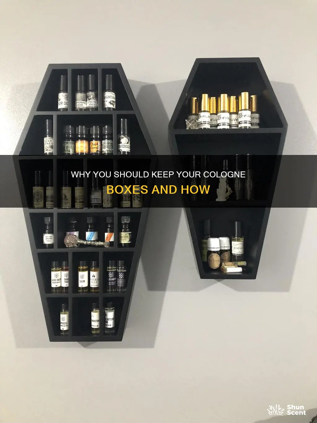 do you keep your cologne boxes