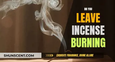 Incense Burning: Safe Practice or Potential Hazard?