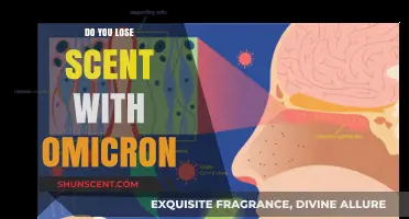 Omicron and Loss of Smell: What Research Reveals About Anosmia