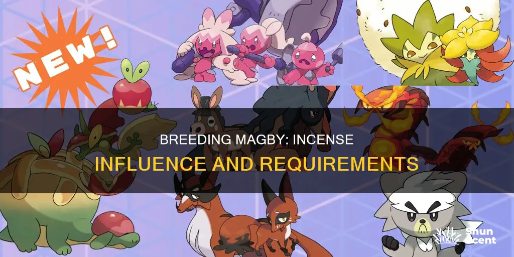 do you need an incense to breed a magby