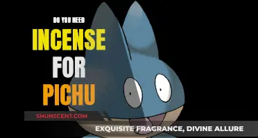 Incense and Pichu: What's the Connection?