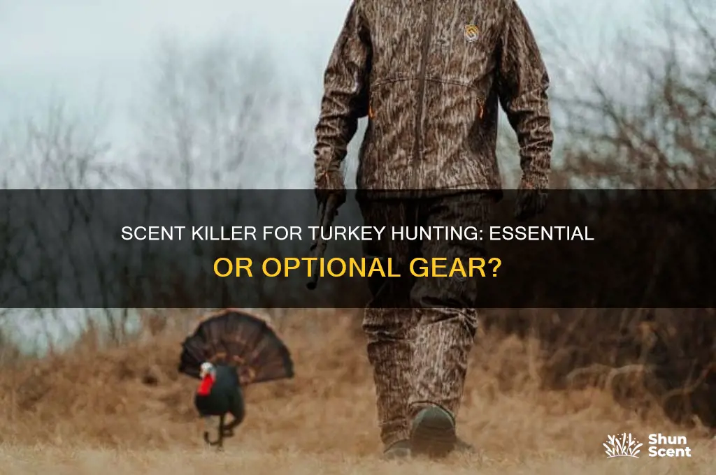 do you need scent killer for turkey hunting