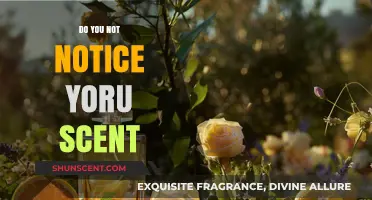 Unseen Yet Powerful: The Impact of Your Personal Scent
