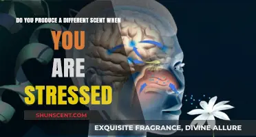 Stress Scents: Uncovering the Unique Smell of Anxiety and Tension