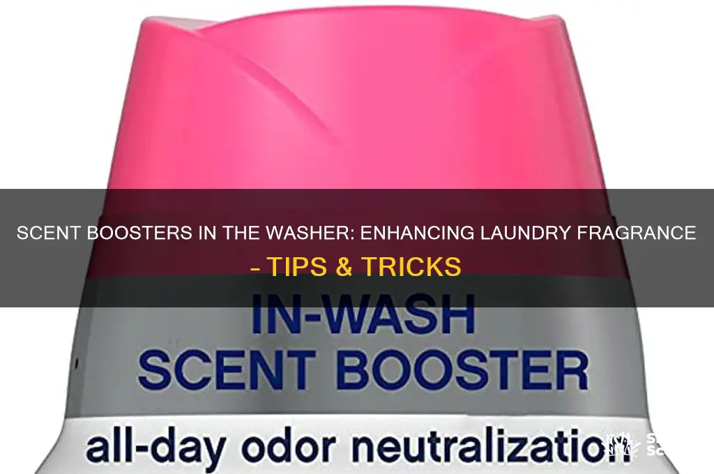 do you put scent boosters in the washer