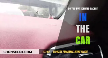 Freshen Your Ride: Scented Sachets in the Car – Yay or Nay?