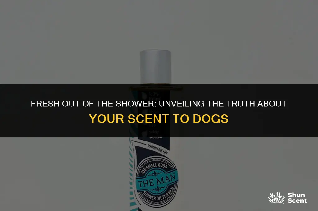 do you smell different to dogs after shower
