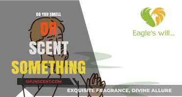 Unraveling the Mystery: Do You Smell or Scent Something Unusual?