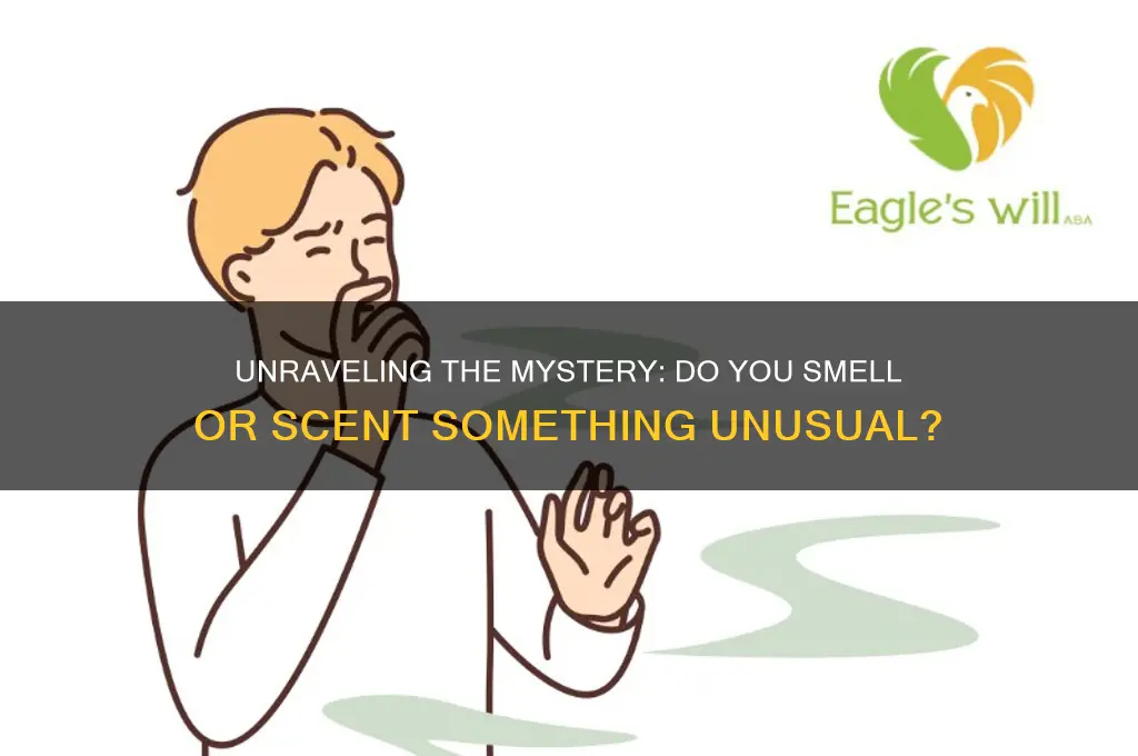 do you smell or scent something