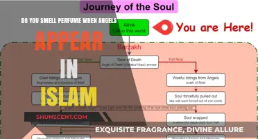 How Muslims Know Angels Are Present