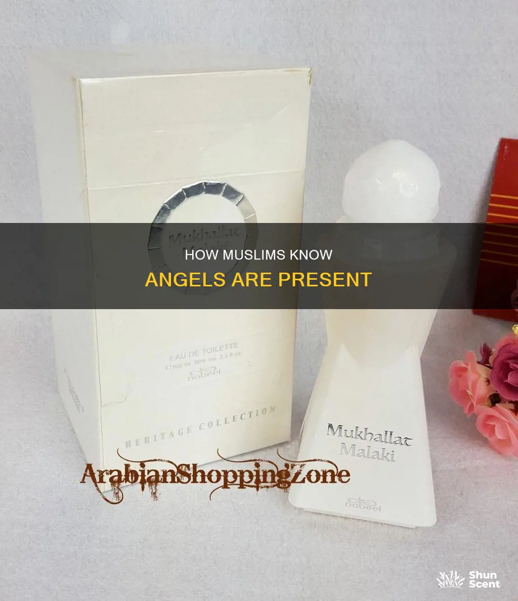 do you smell perfume when angels appear in islam
