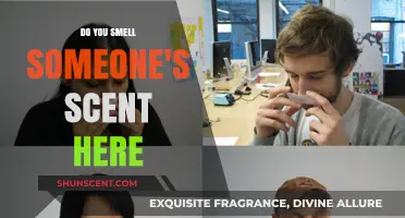 Do You Smell Someone's Scent Here? Exploring the Science of Olfactory Memories