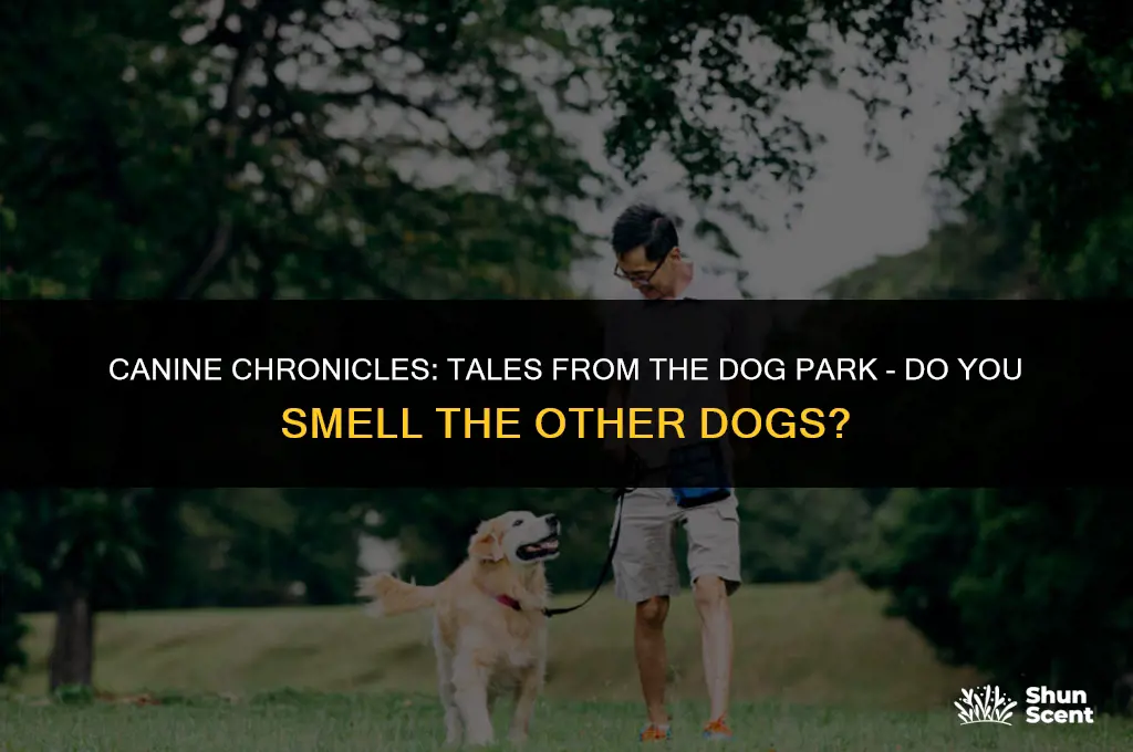 do you smell the other dogs