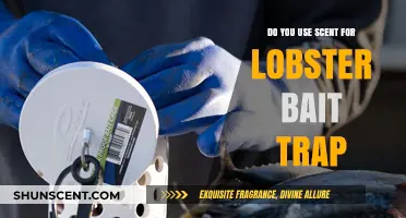 Using Scent for Lobster Bait Traps: Effective Techniques and Tips