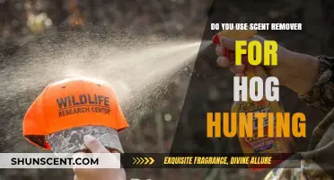 Effective Hog Hunting: Should You Use Scent Remover for Success?