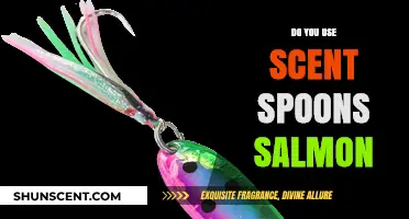 Scent Spoons for Salmon: Enhancing Your Fishing Success with Aromatic Lures