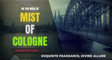 Walking Through Mist of Cologne: An Experience