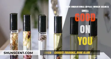 Undertones and Scents: How Skin Chemistry Influences Fragrance Appeal