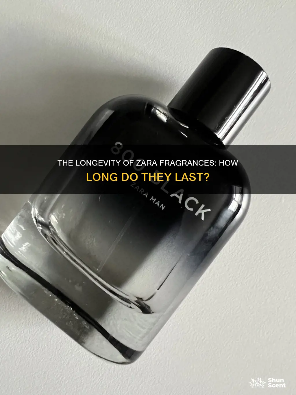 do zara fragrances last