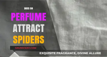 Spiders and 59 Perfume: An Unlikely Attraction