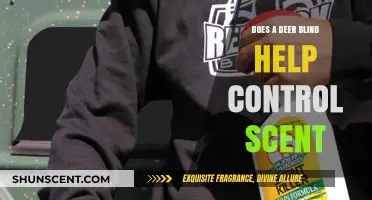 Deer Blind Scent Control: Effective Strategy or Hunting Myth?