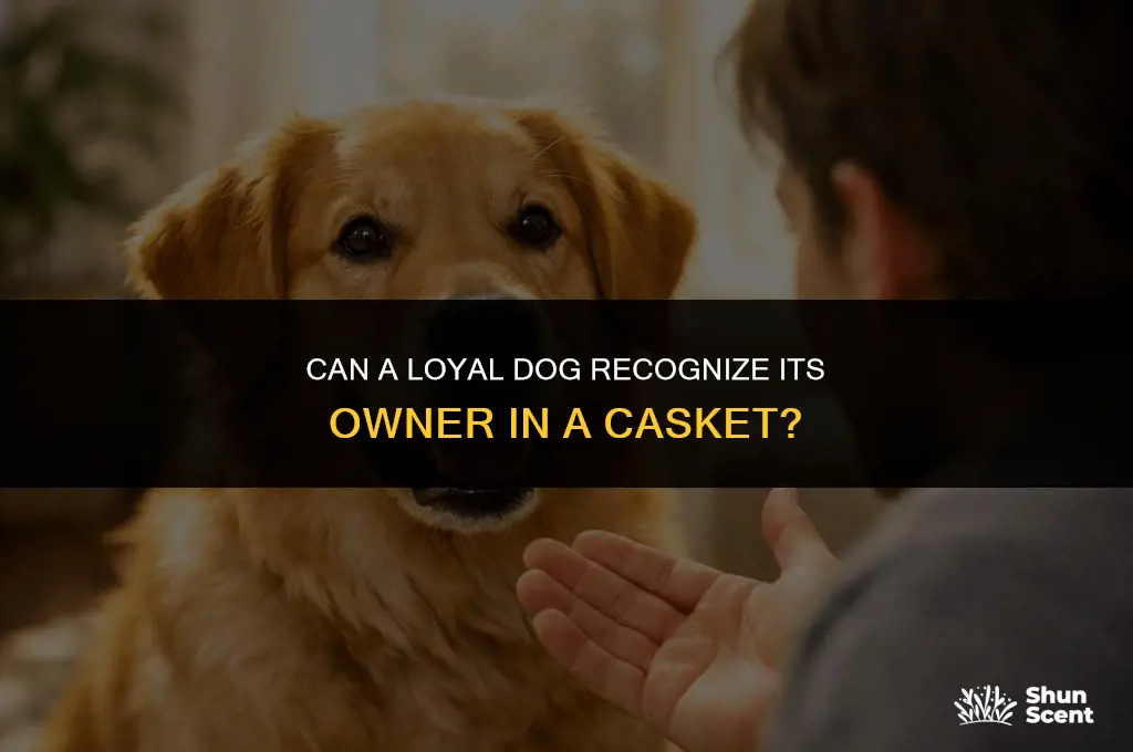 does a dog smell its owner in a casket