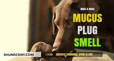 Unveiling the Truth: What's That Funky Smell in Your Dog's Mucus Plug?