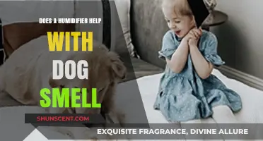 Banishing Dog Odors: The Humidifier's Surprising Role in Freshening Your Home
