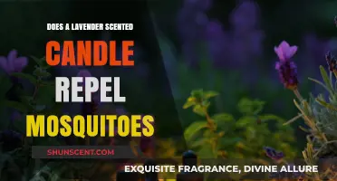 Lavender Scented Candles: Effective Mosquito Repellent or Just Aromatic?