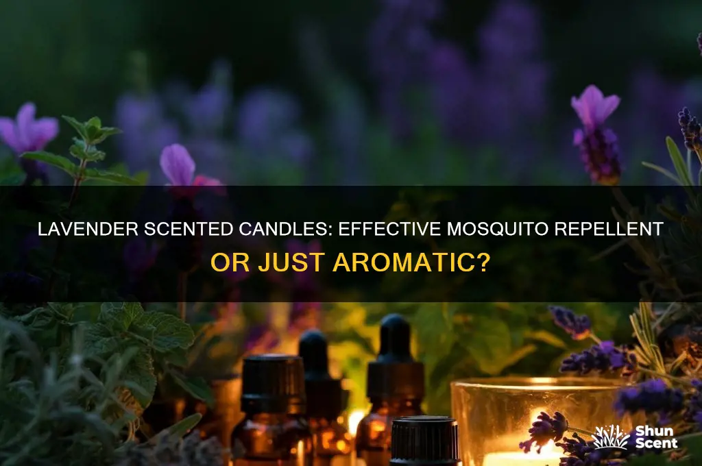 does a lavender scented candle repel mosquitoes