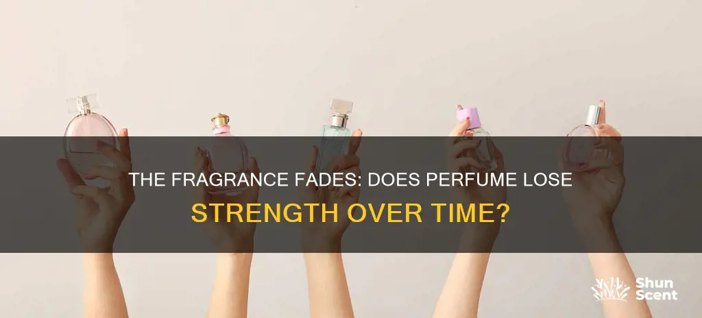 does a perfume lose strength in time