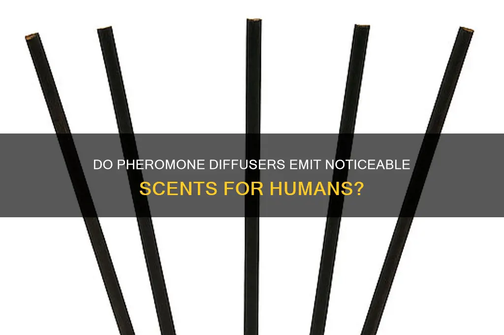 does a pheromone diffuser have any scent for humans